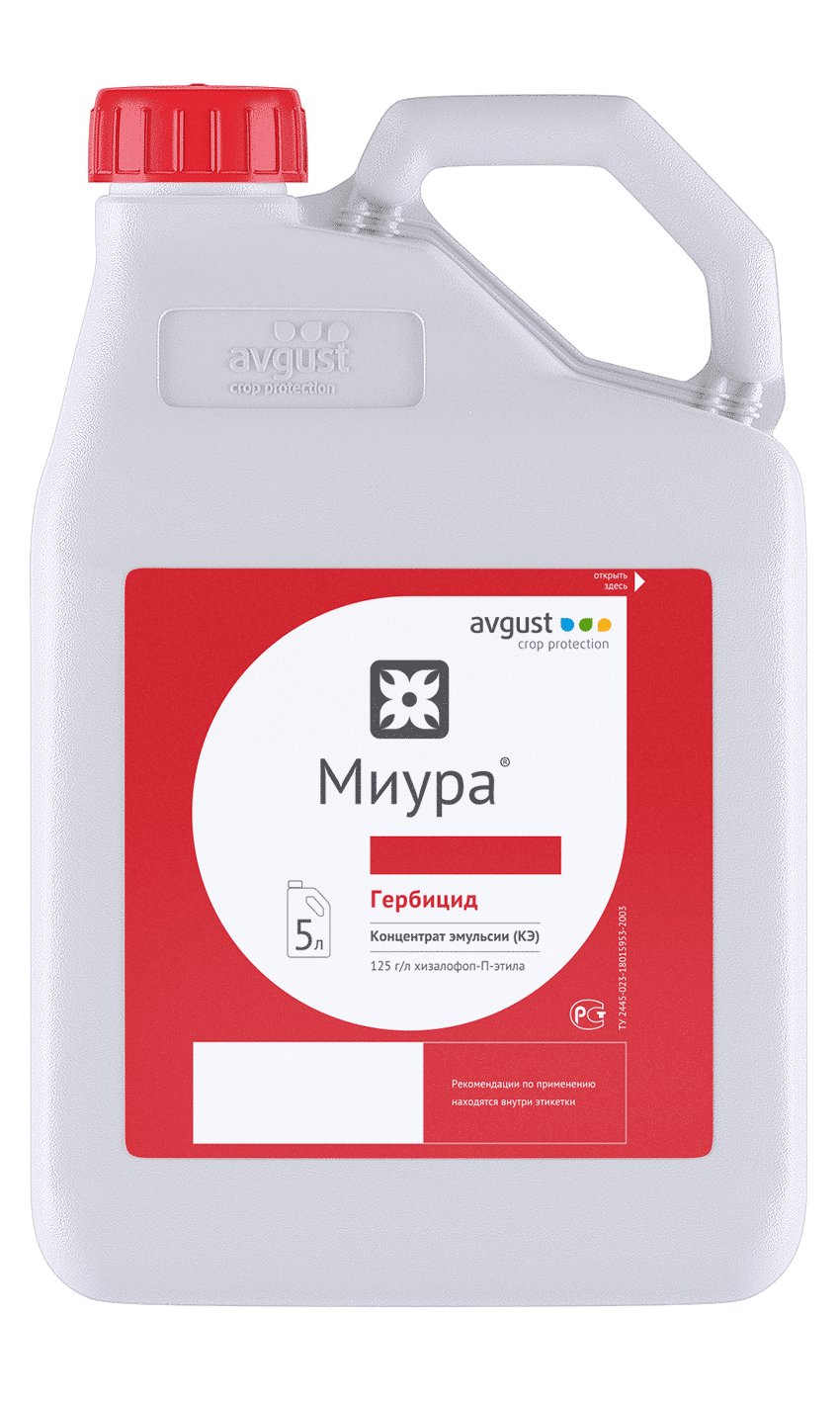Миура