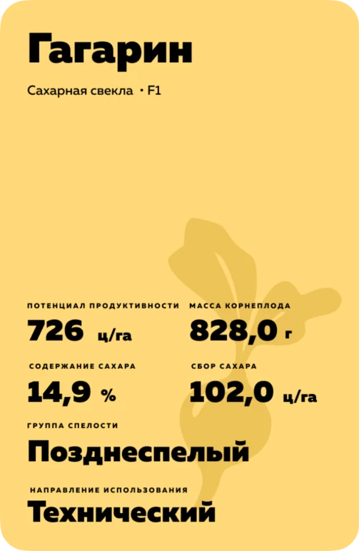 ГАГАРИН