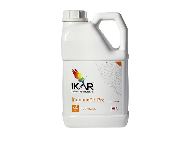  Иммунофит Про