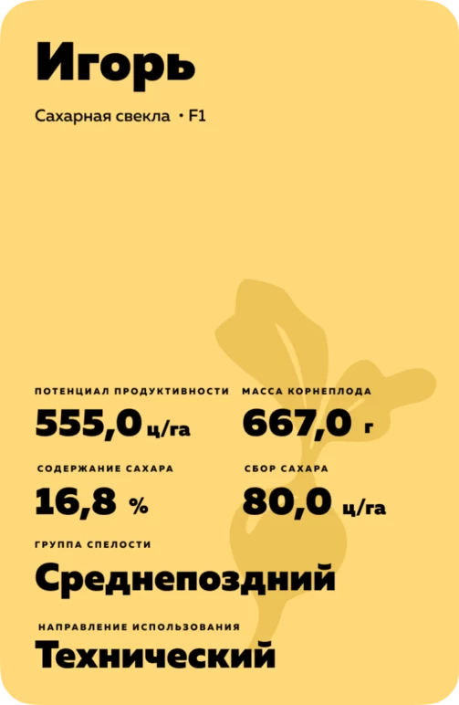 Игорь