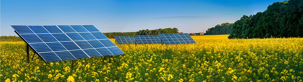 КАРАМИНО КЛ