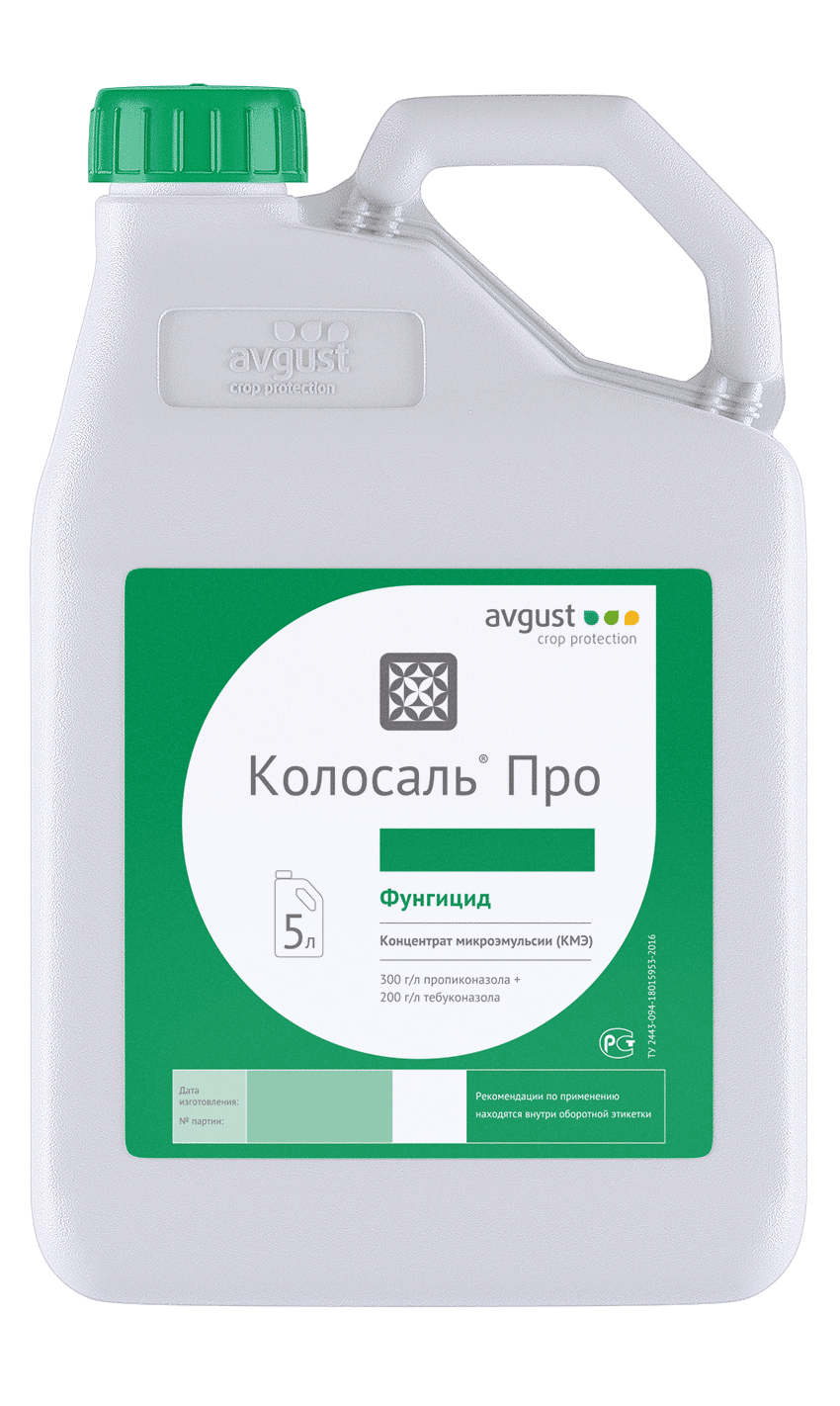 Колосаль Про