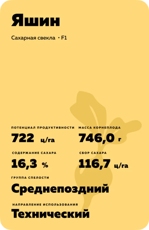 ЯШИН