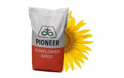  PIONEER ЭКСПРЕСС П64ЛЕ25