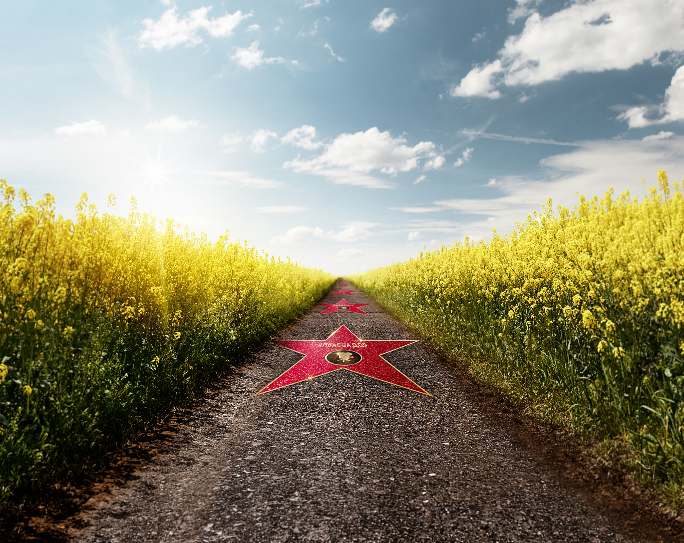 АМБАССАДОР