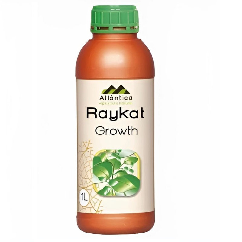 Райкат Развитие